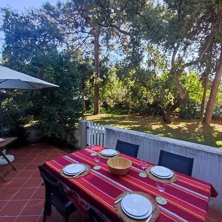 Apartment T2 Apartment With Private Garden In The Balaia *
